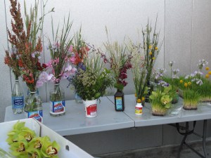 The Marine Mammal Center-