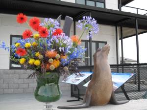Marine Mammal Center