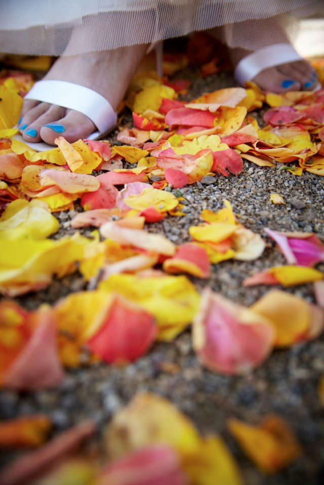 7929073504_50ceb313fc_b