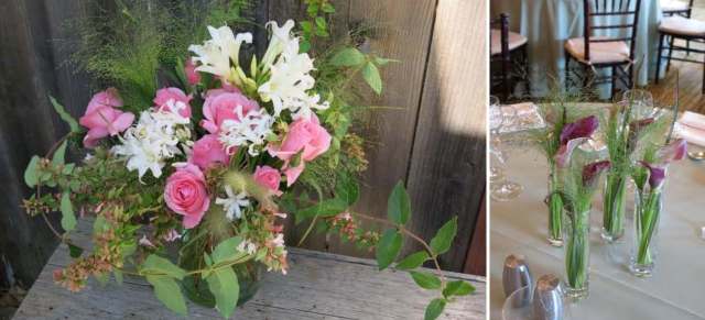 Photos 2, Harvest Moon