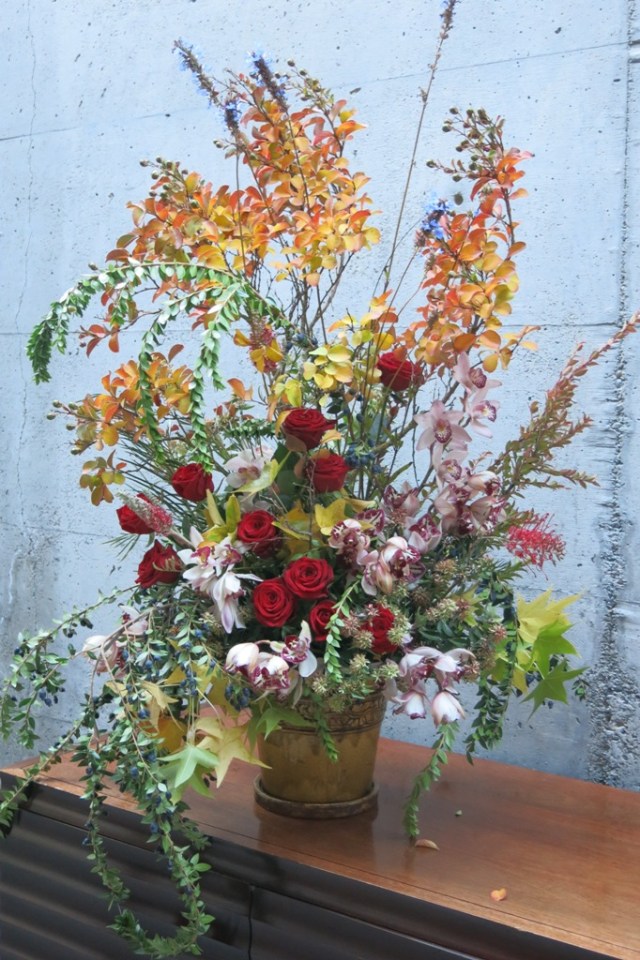 ???????????????????????????????